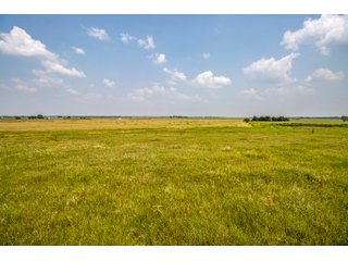Property photo 24 - LAND AUCTION - 1060.77+/- ACRES 5 FARMS OFFERED IN 21 TRACTS - McCLAIN AND GARVIN COUNTIES, OKLAHOMA