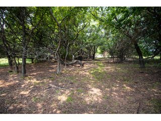 Property photo 61 - LAND AUCTION - 1060.77+/- ACRES 5 FARMS OFFERED IN 21 TRACTS - McCLAIN AND GARVIN COUNTIES, OKLAHOMA