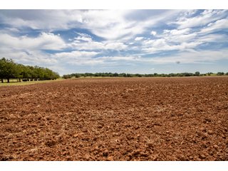 Property photo 65 - LAND AUCTION - 1060.77+/- ACRES 5 FARMS OFFERED IN 21 TRACTS - McCLAIN AND GARVIN COUNTIES, OKLAHOMA