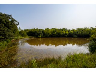 Property photo 32 - LAND AUCTION - 1060.77+/- ACRES 5 FARMS OFFERED IN 21 TRACTS - McCLAIN AND GARVIN COUNTIES, OKLAHOMA