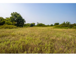 Property photo 33 - LAND AUCTION - 1060.77+/- ACRES 5 FARMS OFFERED IN 21 TRACTS - McCLAIN AND GARVIN COUNTIES, OKLAHOMA