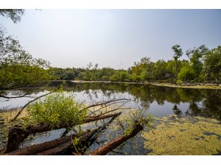 Property photo 37 - LAND AUCTION - 1060.77+/- ACRES 5 FARMS OFFERED IN 21 TRACTS - McCLAIN AND GARVIN COUNTIES, OKLAHOMA