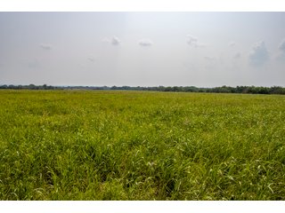 Property photo 40 - LAND AUCTION - 1060.77+/- ACRES 5 FARMS OFFERED IN 21 TRACTS - McCLAIN AND GARVIN COUNTIES, OKLAHOMA