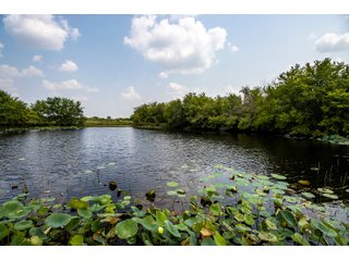 Property photo 42 - LAND AUCTION - 1060.77+/- ACRES 5 FARMS OFFERED IN 21 TRACTS - McCLAIN AND GARVIN COUNTIES, OKLAHOMA