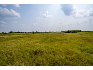 Property photo 44 - LAND AUCTION - 1060.77+/- ACRES 5 FARMS OFFERED IN 21 TRACTS - McCLAIN AND GARVIN COUNTIES, OKLAHOMA