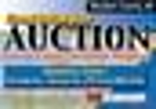 TIMED ONLINE ONLY PERSONAL PROPERTY AUCTION - STEUBEN COUNTY