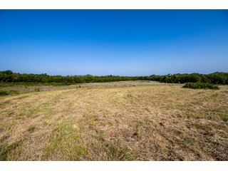 Property photo 17 - LAND AUCTION - 392 +/- ACRES OFFERED IN 8 TRACTS IN PAYNE COUNTY, OKLAHOMA