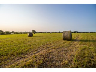 Property photo 20 - LAND AUCTION - 392 +/- ACRES OFFERED IN 8 TRACTS IN PAYNE COUNTY, OKLAHOMA