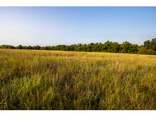 Property photo 22 - LAND AUCTION - 392 +/- ACRES OFFERED IN 8 TRACTS IN PAYNE COUNTY, OKLAHOMA