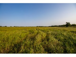 Property photo 25 - LAND AUCTION - 392 +/- ACRES OFFERED IN 8 TRACTS IN PAYNE COUNTY, OKLAHOMA