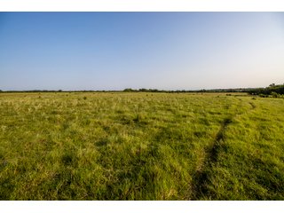Property photo 26 - LAND AUCTION - 392 +/- ACRES OFFERED IN 8 TRACTS IN PAYNE COUNTY, OKLAHOMA