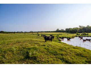 Property photo 28 - LAND AUCTION - 392 +/- ACRES OFFERED IN 8 TRACTS IN PAYNE COUNTY, OKLAHOMA