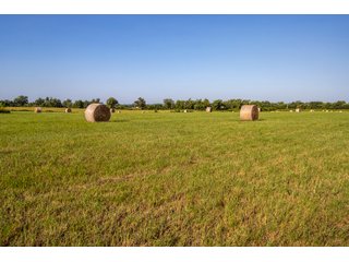 Property photo 34 - LAND AUCTION - 392 +/- ACRES OFFERED IN 8 TRACTS IN PAYNE COUNTY, OKLAHOMA
