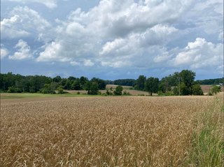 Yantis, Washtenaw County