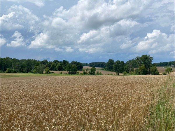 Online Only Land Auction - 284+/- Acres in 14 Tracts in Washtenaw County, Michigan
