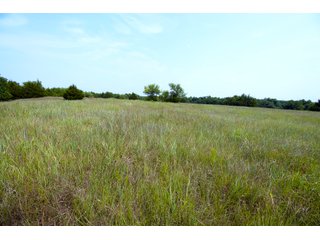 Property photo 32 - LAND AUCTION - 250.77+/- ACRES OFFERED IN 15 TRACTS IN STILLWATER, OKLAHOMA