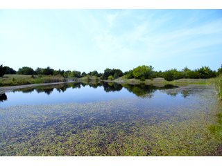 Property photo 33 - LAND AUCTION - 250.77+/- ACRES OFFERED IN 15 TRACTS IN STILLWATER, OKLAHOMA