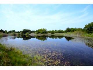Property photo 34 - LAND AUCTION - 250.77+/- ACRES OFFERED IN 15 TRACTS IN STILLWATER, OKLAHOMA