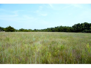 Property photo 35 - LAND AUCTION - 250.77+/- ACRES OFFERED IN 15 TRACTS IN STILLWATER, OKLAHOMA