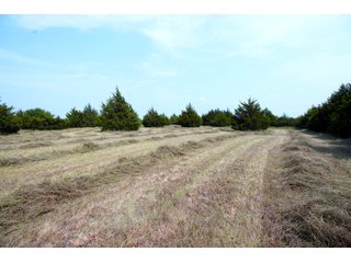 Property photo 38 - LAND AUCTION - 250.77+/- ACRES OFFERED IN 15 TRACTS IN STILLWATER, OKLAHOMA