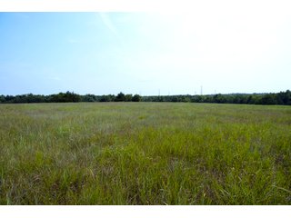Property photo 41 - LAND AUCTION - 250.77+/- ACRES OFFERED IN 15 TRACTS IN STILLWATER, OKLAHOMA