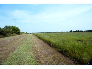 Property photo 42 - LAND AUCTION - 250.77+/- ACRES OFFERED IN 15 TRACTS IN STILLWATER, OKLAHOMA