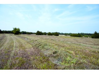 Property photo 45 - LAND AUCTION - 250.77+/- ACRES OFFERED IN 15 TRACTS IN STILLWATER, OKLAHOMA
