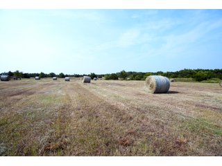 Property photo 48 - LAND AUCTION - 250.77+/- ACRES OFFERED IN 15 TRACTS IN STILLWATER, OKLAHOMA