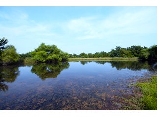 Property photo 49 - LAND AUCTION - 250.77+/- ACRES OFFERED IN 15 TRACTS IN STILLWATER, OKLAHOMA