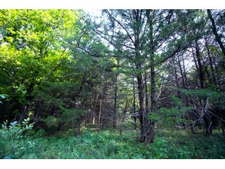 Property photo 58 - LAND AUCTION - 250.77+/- ACRES OFFERED IN 15 TRACTS IN STILLWATER, OKLAHOMA