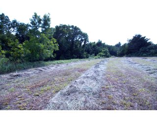Property photo 59 - LAND AUCTION - 250.77+/- ACRES OFFERED IN 15 TRACTS IN STILLWATER, OKLAHOMA