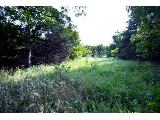 Property photo 60 - LAND AUCTION - 250.77+/- ACRES OFFERED IN 15 TRACTS IN STILLWATER, OKLAHOMA