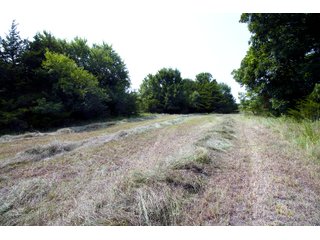 Property photo 63 - LAND AUCTION - 250.77+/- ACRES OFFERED IN 15 TRACTS IN STILLWATER, OKLAHOMA