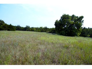 Property photo 64 - LAND AUCTION - 250.77+/- ACRES OFFERED IN 15 TRACTS IN STILLWATER, OKLAHOMA
