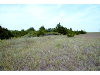 Property photo 9 - LAND AUCTION - 250.77+/- ACRES OFFERED IN 15 TRACTS IN STILLWATER, OKLAHOMA