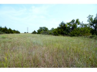 Property photo 12 - LAND AUCTION - 250.77+/- ACRES OFFERED IN 15 TRACTS IN STILLWATER, OKLAHOMA