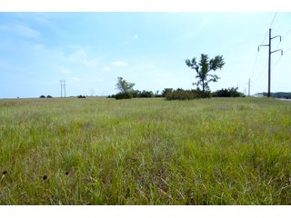 Property photo 15 - LAND AUCTION - 250.77+/- ACRES OFFERED IN 15 TRACTS IN STILLWATER, OKLAHOMA