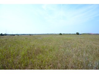 Property photo 16 - LAND AUCTION - 250.77+/- ACRES OFFERED IN 15 TRACTS IN STILLWATER, OKLAHOMA