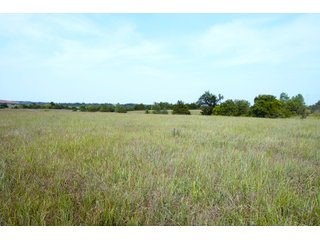 Property photo 22 - LAND AUCTION - 250.77+/- ACRES OFFERED IN 15 TRACTS IN STILLWATER, OKLAHOMA