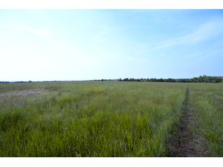 Property photo 23 - LAND AUCTION - 250.77+/- ACRES OFFERED IN 15 TRACTS IN STILLWATER, OKLAHOMA