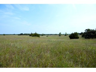 Property photo 25 - LAND AUCTION - 250.77+/- ACRES OFFERED IN 15 TRACTS IN STILLWATER, OKLAHOMA