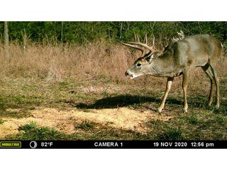 Property photo 66 - LAND AUCTION - 250.77+/- ACRES OFFERED IN 15 TRACTS IN STILLWATER, OKLAHOMA