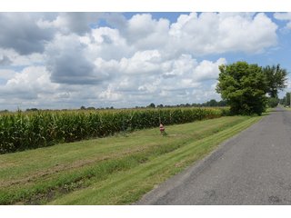Property photo 78 - LAND AUCTION - 638+/- ACRES - OFFERED IN 15 TRACTS - MADISON COUNTY, IL