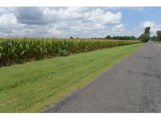 Property photo 79 - LAND AUCTION - 638+/- ACRES - OFFERED IN 15 TRACTS - MADISON COUNTY, IL
