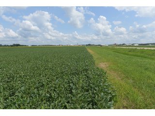 Property photo 82 - LAND AUCTION - 638+/- ACRES - OFFERED IN 15 TRACTS - MADISON COUNTY, IL