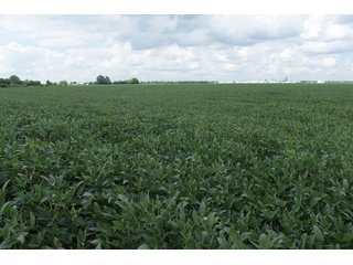 Property photo 83 - LAND AUCTION - 638+/- ACRES - OFFERED IN 15 TRACTS - MADISON COUNTY, IL