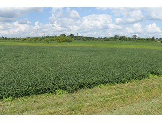 Property photo 59 - LAND AUCTION - 638+/- ACRES - OFFERED IN 15 TRACTS - MADISON COUNTY, IL