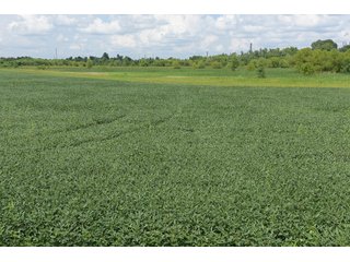 Property photo 60 - LAND AUCTION - 638+/- ACRES - OFFERED IN 15 TRACTS - MADISON COUNTY, IL