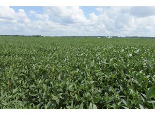 Property photo 64 - LAND AUCTION - 638+/- ACRES - OFFERED IN 15 TRACTS - MADISON COUNTY, IL