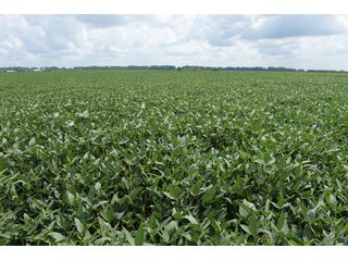 Property photo 65 - LAND AUCTION - 638+/- ACRES - OFFERED IN 15 TRACTS - MADISON COUNTY, IL